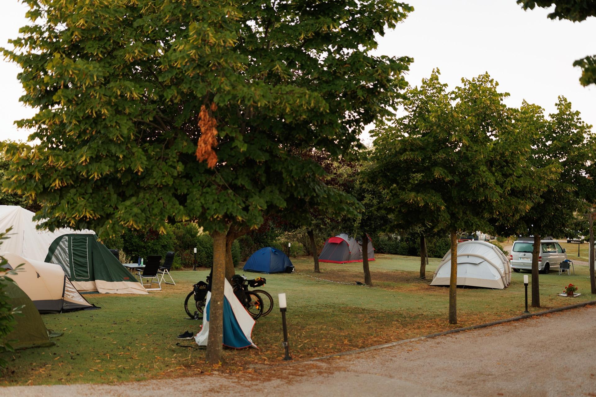 Camping holidays in Tuscany | Spineta, Agricamping Cortona
