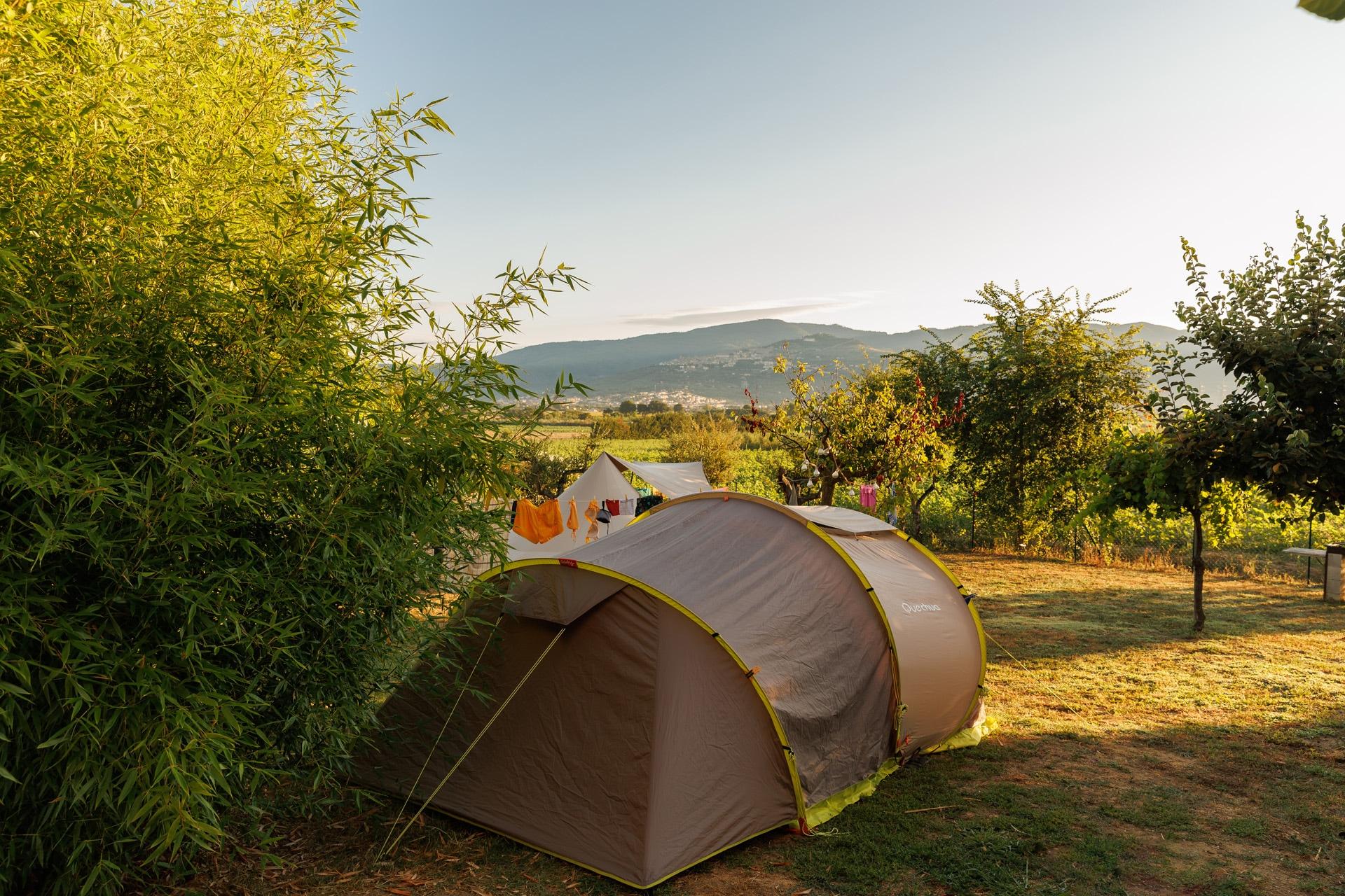 Comping tent pitches in Cortona, Arezzo | Tuscany